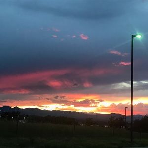 Meet your Posher, Lillie